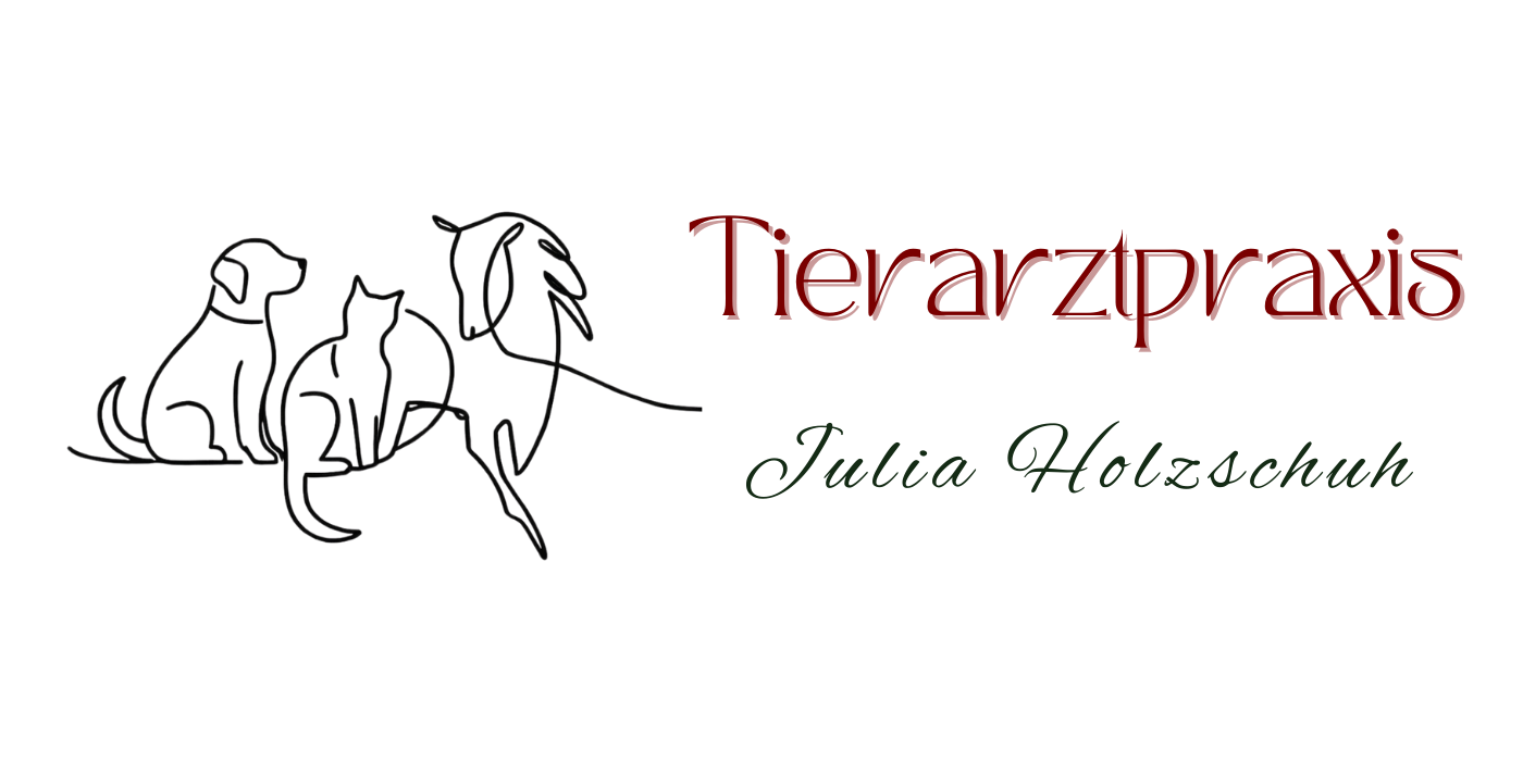 Julia Holzschuh Tierarztpraxis